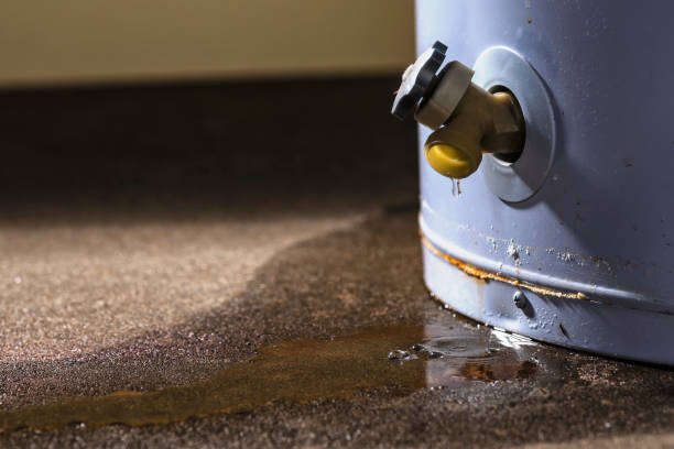 Best Sewage cleanup and water damage restoration  in West Pleasant View, CO