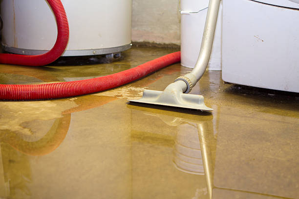 Best Local water damage restoration  in West Pleasant View, CO