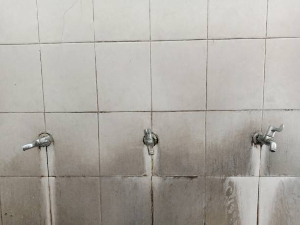  West Pleasant View, CO Water damage restoration Pros