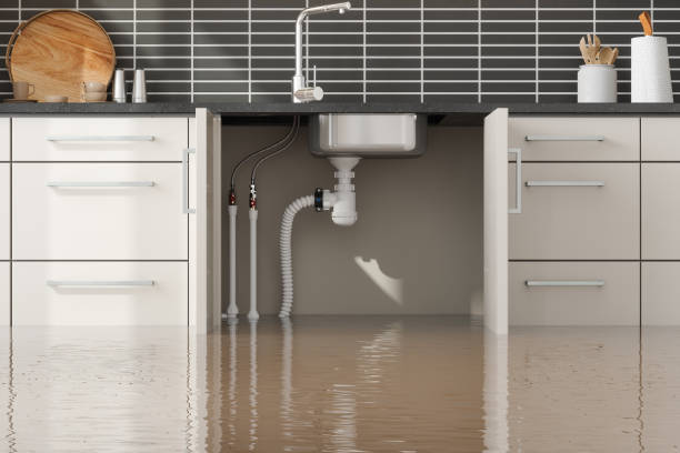 Best Flood damage cleanup  in West Pleasant View, CO